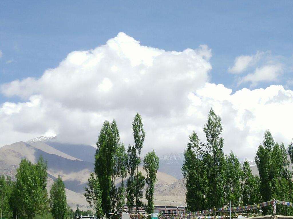 Youthok Guest House Leh Exterior photo
